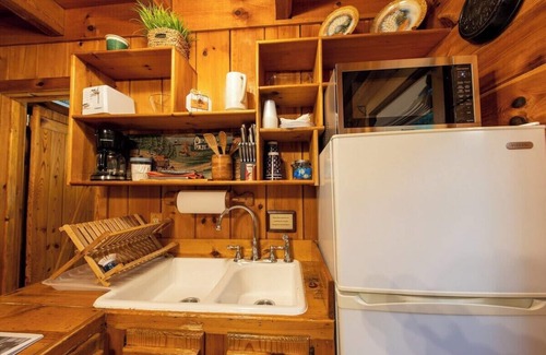 Benton Apartment | Creek Crest Cabin | Ocoee Riverside Cabin