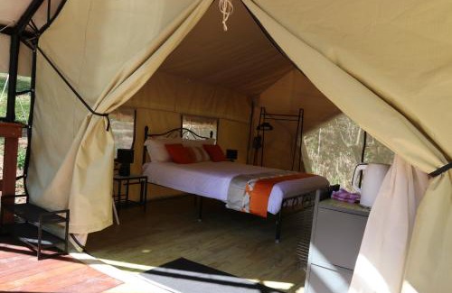 Commissioners Creek Other | Creek Glamping Tent