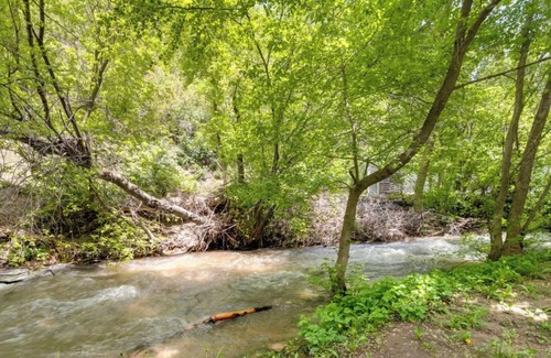 Snowbird Cabin | Creekside Cabin at Vivian Park- 15 min to BYU, 5 min to Sundance