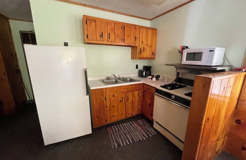 Ely Cabin | Creekside Cabin on Jasper Lake: Sleeps 6, Scenic Views, Pontoon Boat Included!