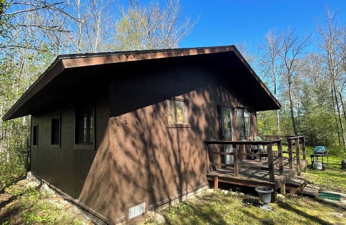 Ely Cabin | Creekside Cabin on Jasper Lake: Sleeps 6, Scenic Views, Pontoon Boat Included!