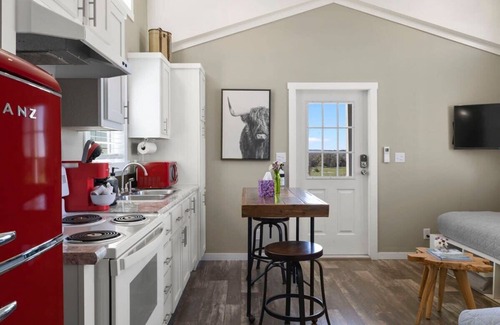 Dripping Springs House | Cricket Hill Ranch | Blue Tiny Home & Pool