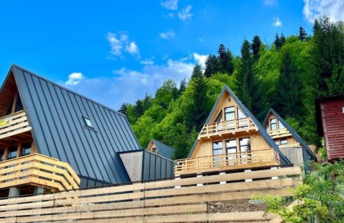 Bistrita Bargaului House | Cricova House