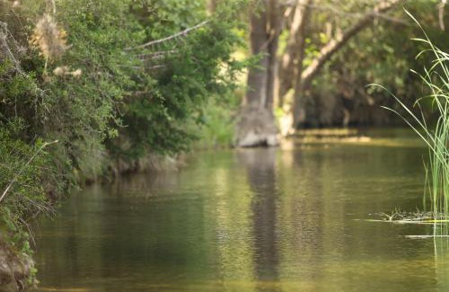Rio Frio Cabin | Crider's On The Frio