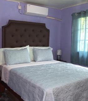 Spanish Town House | Crimson Clove vacation Home JA