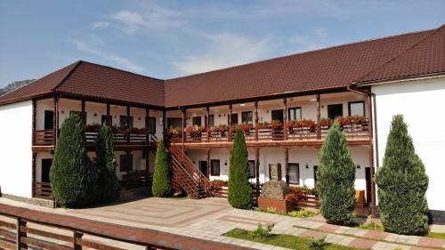 Sapinta House | Cris & Mona