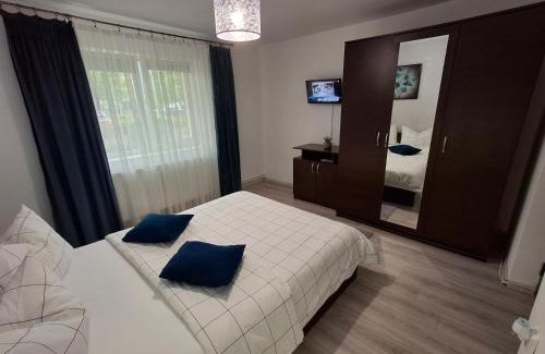 Emanoil Gojdu Apartment | Criss Apartament Central