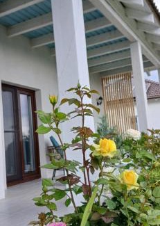 Bran House | Cristelyn Residence