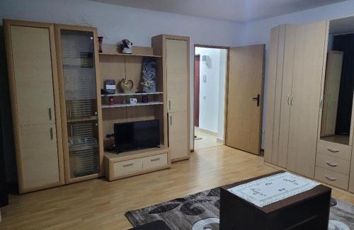 Busteni Apartment | CRISTINA APART