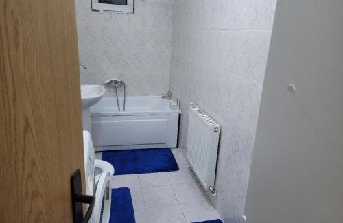 Busteni Apartment | CRISTINA APART
