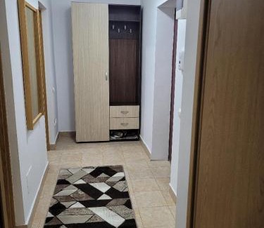 Busteni Apartment | CRISTINA APART