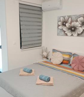 Jagodina Apartment | Crnjanski Paun L