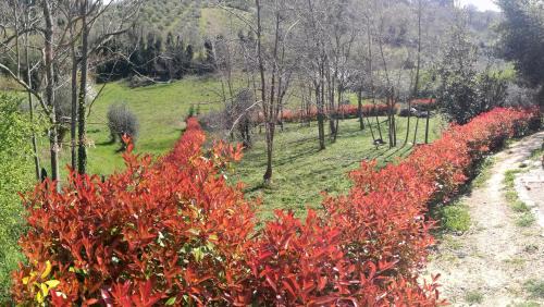 Chieti Bed & Breakfast | Croft28