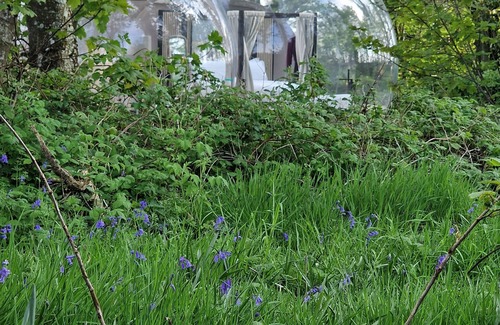 Portstewart Cabin | Cromore Retreat
