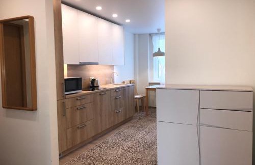 Druskininkai Apartment | Crystal Grey