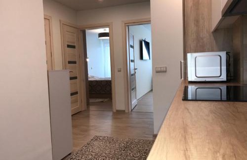 Druskininkai Apartment | Crystal Grey