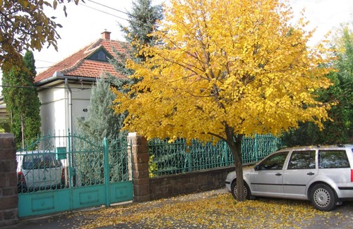 Eger Apartment | Családi Vendégház