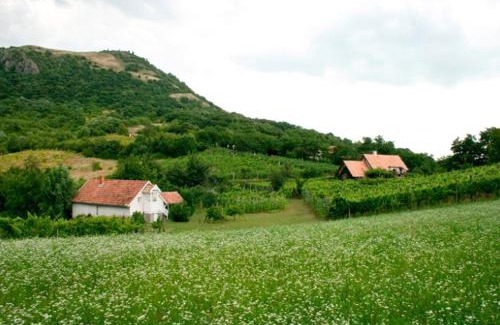 Gyulakeszi House | Csobánc Szerelem-Nemzeti Park-Önalló Ház - klimatizált