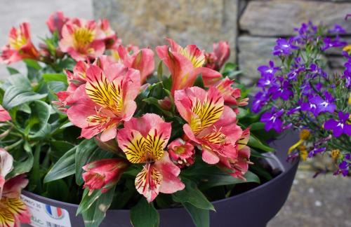 Valentia Island Bed & Breakfast | Cuas a' Gamhna