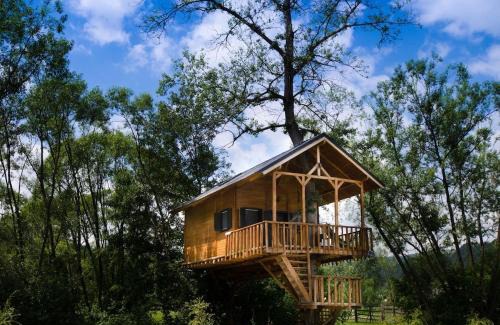 Moisei Cabin | Cuibul Vulturilor - Casuta in Copac