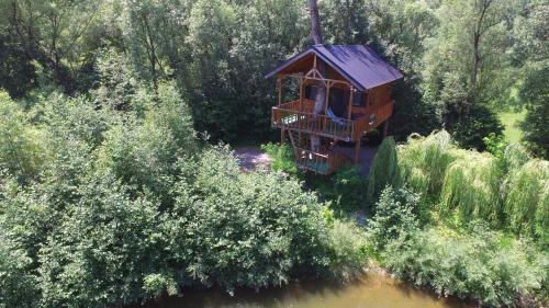Moisei Cabin | Cuibul Vulturilor - Casuta in Copac