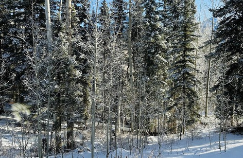 Purgatory Condo | Custom Condo 1.5 miles North of Purgatory