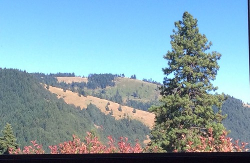 White Salmon House | Cute and Cozy newly built house in private community.