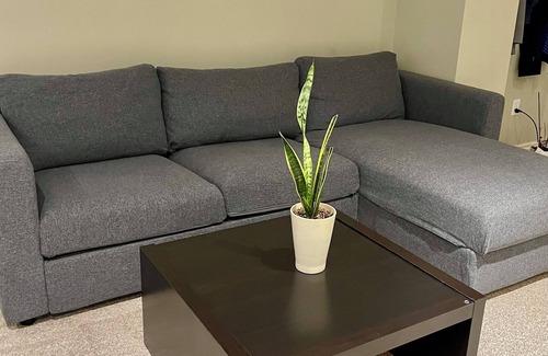 Vaughan Apartment | Cute Apartment