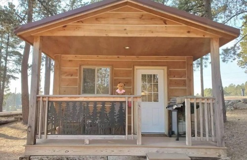 Custer Cabin | Cute Camping Cabin in Custer