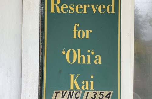 Kapaa Cottage | Cute Cottage at Ohia Kai TVNCU #1354