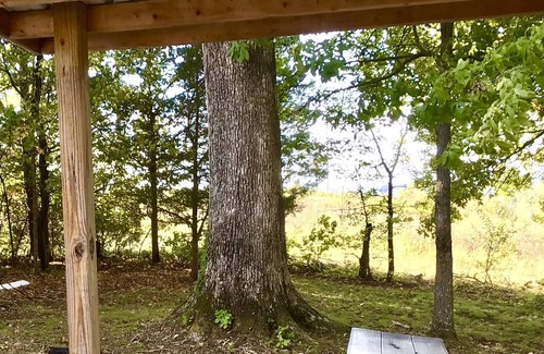 Columbia Cabin | Cute Custom Cabin in the woods