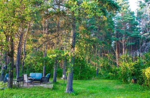 Joly Cabin | Cute Log Cabin in a Pine Forest just 1 min to the Lake
