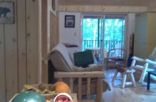 Chelsea Ski Chalet | Cute retreat - Charmant chalet