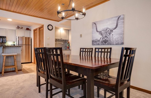 Steamboat Springs Condo | CX222 | Ski In/Out | Winter Shuttle | Hot Tub | Pool