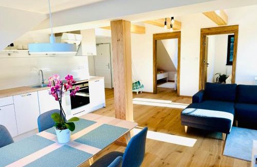 Albrechtice v Jizerskych horach Apartment | Stará Škola Mariánská