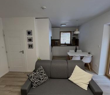 Albrechtice v Jizerskych horach Apartment | Apartmán Mariánská Hora