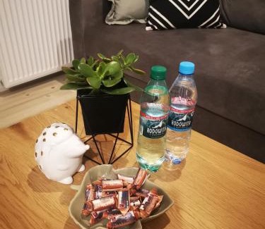 Zamosc Apartment | Czwarte Piętro