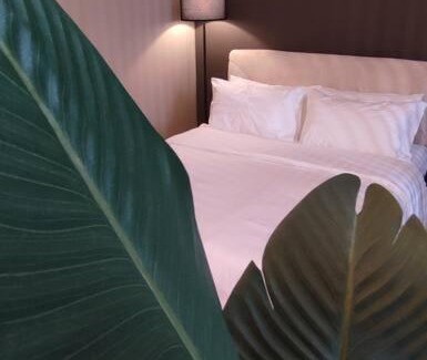 Tanjong Bidara Apartment | D' Pines -Family Suite