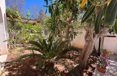 San Vito Lo Capo Apartment | Da Silvia, a due passi dal mare