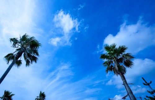 Tateyama Villa | DA TATEYAMA con amore