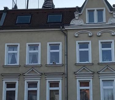 Zittau Apartment | Dachgeschoßwohnung mit Dachterrasse