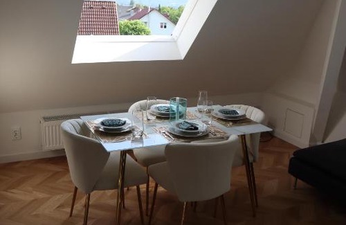 Grenzach-Wyhlen Apartment | Dachperle Wyhlen