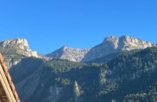 Brienz Apartment | Dachwohnung mit Balkon am Brienzersee, Brienz BE
