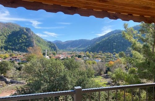 Marmaris Villa | Dadya Villa 3 - Villa with private pool in Marmaris Turgut