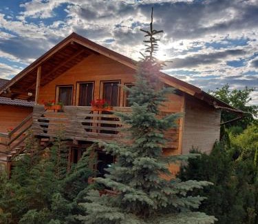 Turda House | Daiana Residence Cabane