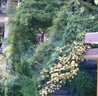 Dalhousie Bed & Breakfast | Dalhousie bed and breakfast