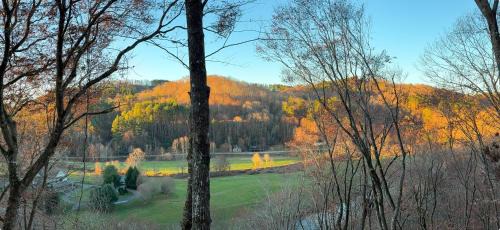 Boone House | Daniel Boone Lodge