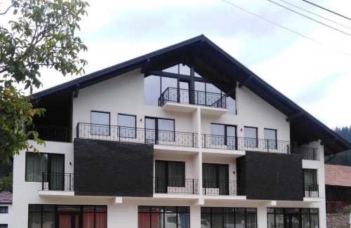 Gura Humorului Apartment | Danifeld Inn