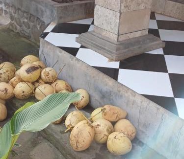 Hu'u Bed & Breakfast | Dannyjuljol homestay
