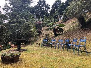 San Gerardo de Dota Bed & Breakfast | Dantica Cloud Forest Lodge